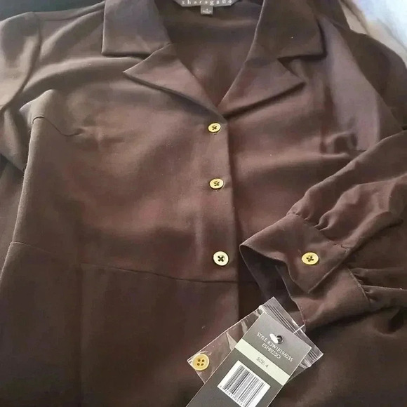 Sharagano Pleat Bottom Brown Dress - Picture 10 of 13